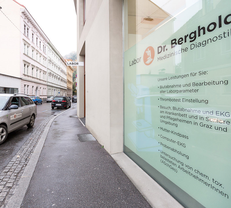 Labor Dr. Berghold Graz - Impressum